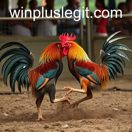 Exploring the Evolution of Sabong Games in the Digital Age